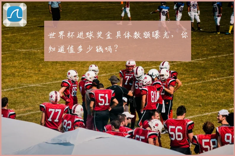 世界杯进球奖金具体数额曝光，你知道值多少钱吗？