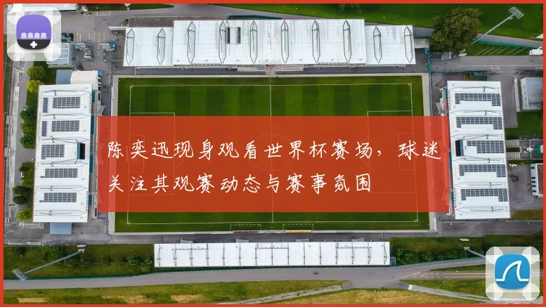 陈奕迅现身观看世界杯赛场，球迷关注其观赛动态与赛事氛围