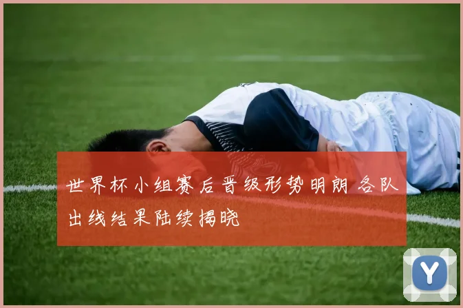 世界杯小组赛后晋级形势明朗 各队出线结果陆续揭晓