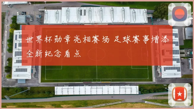 世界杯勋章亮相赛场 足球赛事增添全新纪念看点