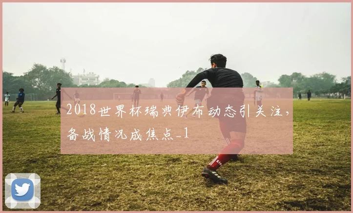 2018世界杯瑞典伊布动态引关注,备战情况成焦点_1